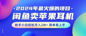 2024年最火爆的项目，闲鱼卖苹果耳机，新手小白轻松月入2W+简单易上手-副业宇宙