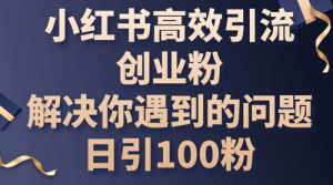 小红书高效引流创业粉,解决你遇到的问题,日引100粉-副业宇宙