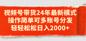 视频号带货24年最新模式,操作简单可多账号分发,轻轻松松日入2000+-副业宇宙