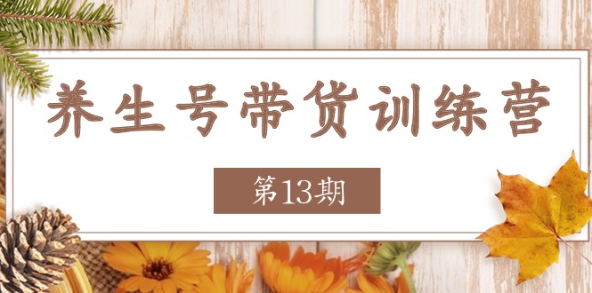 养生号-带货训练营【第13期】收益更稳定的玩法，让你带货收益爆炸-副业宇宙