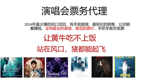 唱会票务代理，2024年最火爆风口项目，全网最低的票价-副业宇宙