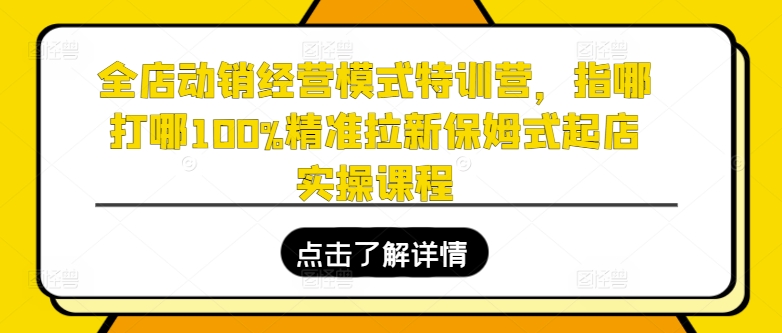 全店动销经营模式特训营，指哪打哪100%精准拉新保姆式起店实操课程-副业宇宙
