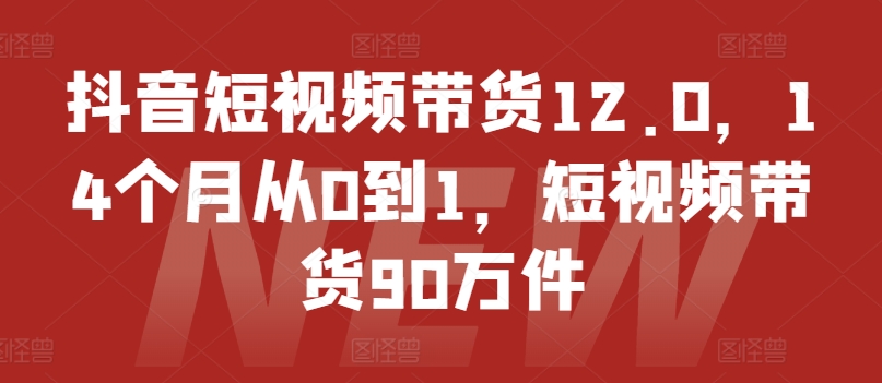 抖音短视频带货12.0，14个月从0到1，短视频带货90万件-副业宇宙