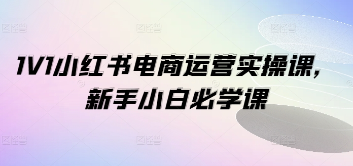 1V1小红书电商运营实操课，新手小白必学课-副业宇宙