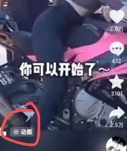 2024年7月苹果手机动图搬运技术-副业宇宙