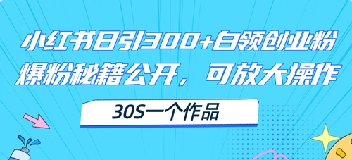 小红书日引300+高质白领创业粉，可放大操作，爆粉秘籍！30s一个作品-副业宇宙
