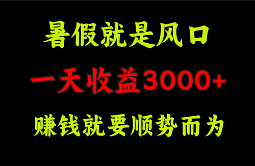 一天收益3000+ 赚钱就是顺势而为，暑假就是风口-副业宇宙