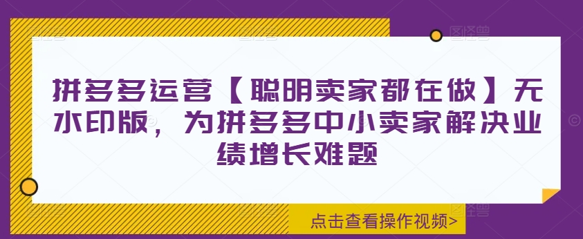 拼多多运营【聪明卖家都在做】无水印版，为拼多多中小卖家解决业绩增长难题-副业宇宙