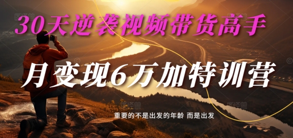 30天逆袭视频带货高手，单月变现6万加特训营-麦子甜-副业宇宙