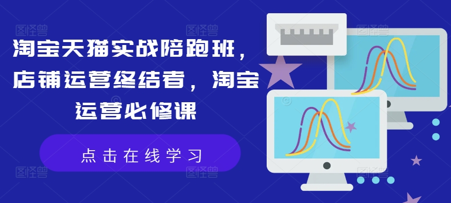 淘宝天猫实战陪跑班，店铺运营终结者，淘宝运营必修课-副业宇宙