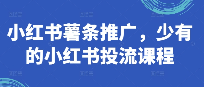 小红书薯条推广，少有的小红书投流课程-副业宇宙