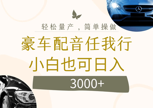 不为人知的暴力小项目，豪车配音，日入3000+-副业宇宙