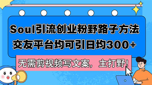 Soul引流创业粉野路子方法，交友平台均可引日均300+，无需剪视频写文案-副业宇宙