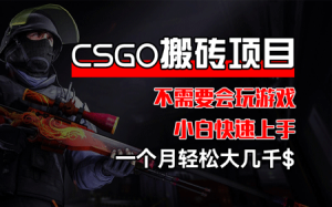CSGO 装备搬砖项目,操作简单,不需要会玩游戏,小白也能快速上手-副业宇宙
