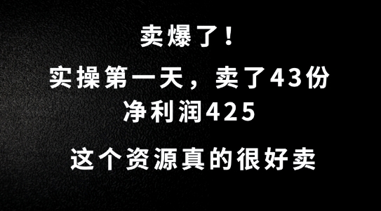 这个资源，需求很大，实操第一天卖了43份，净利润425【揭秘】-副业宇宙