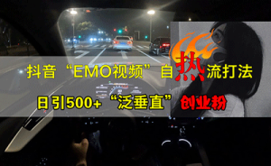 抖音EMO视频自热打法,日引500+“泛垂直”创业粉-副业宇宙